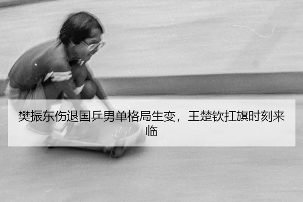樊振东伤退国乒男单格局生变，王楚钦扛旗时刻来临
